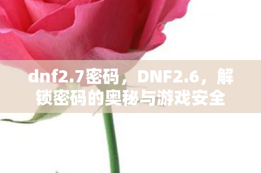 dnf2.7密码，DNF2.6，解锁密码的奥秘与游戏安全