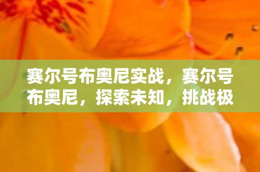 赛尔号布奥尼实战，赛尔号布奥尼，探索未知，挑战极限
