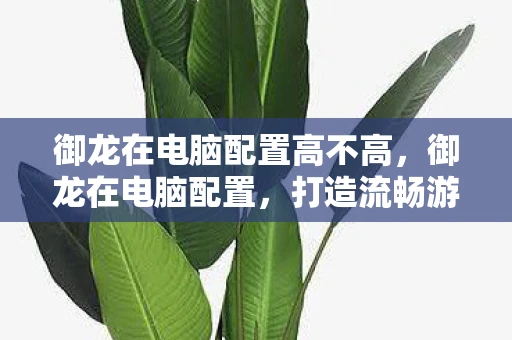御龙在电脑配置高不高,御龙在电脑配置,打造流畅游戏体验的硬件指南 御龙在电脑配置高不高,御龙在电脑配置,打造流畅游戏体验的硬件指南