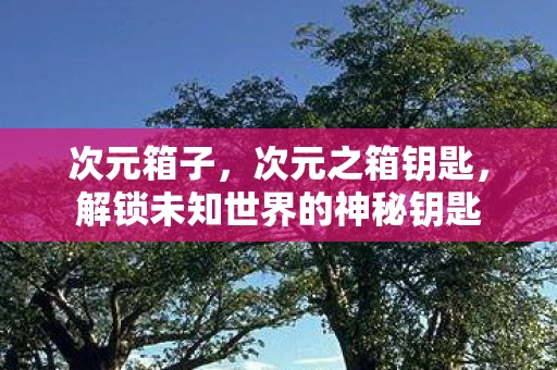 次元箱子，次元之箱钥匙，解锁未知世界的神秘钥匙