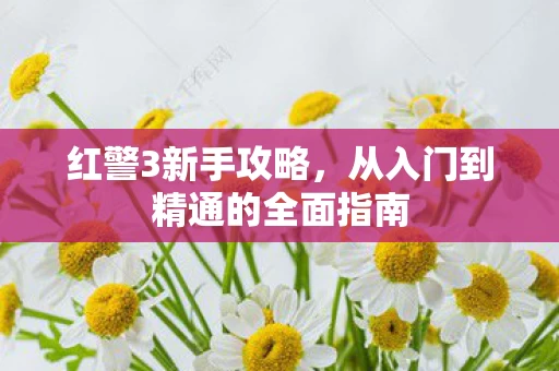 从入门到精通的全面指南图片