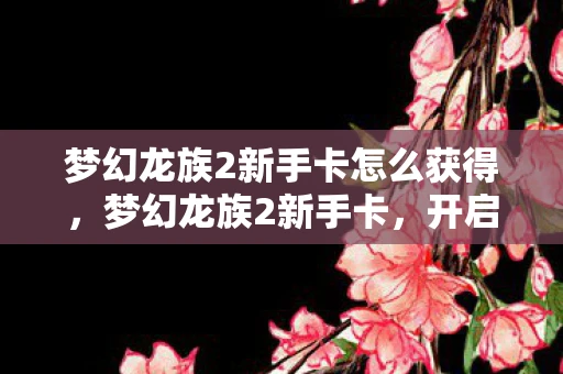 梦幻龙族2新手卡怎么获得，梦幻龙族2新手卡，开启你的冒险之旅