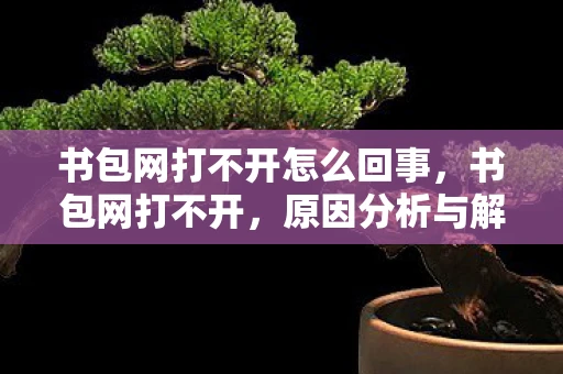 书包网打不开怎么回事，书包网打不开，原因分析与解决方案