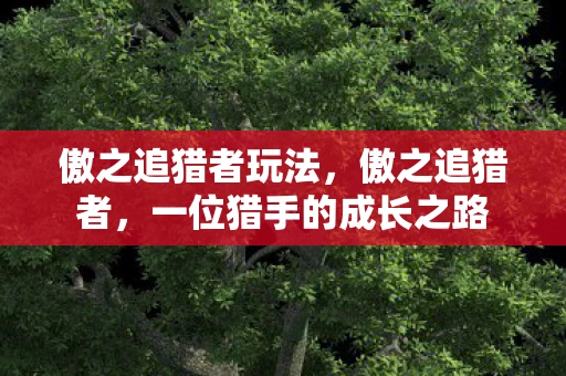 傲之追猎者玩法，傲之追猎者，一位猎手的成长之路