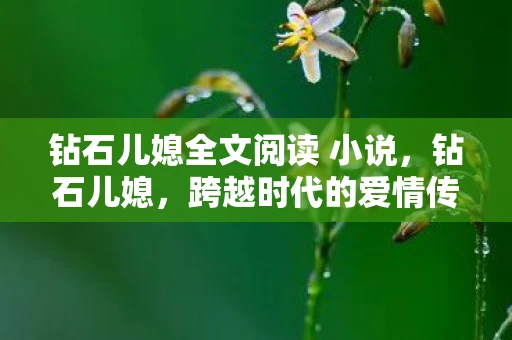钻石儿媳全文阅读 小说,钻石儿媳,跨越时代的爱情传奇 钻石儿媳全文阅读 小说,钻石儿媳,跨越时代的爱情传奇