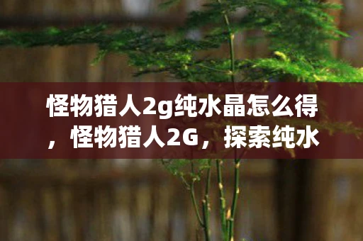 怪物猎人2g纯水晶怎么得，怪物猎人2G，探索纯水晶的神秘之旅