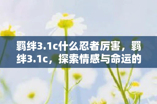 羁绊3.1c什么忍者厉害，羁绊3.1c，探索情感与命运的交织
