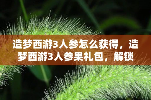 造梦西游3人参怎么获得，造梦西游3人参果礼包，解锁神秘力量的钥匙
