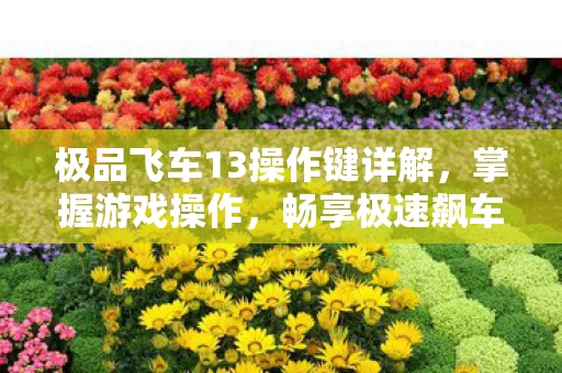 极品飞车13操作键详解图片
