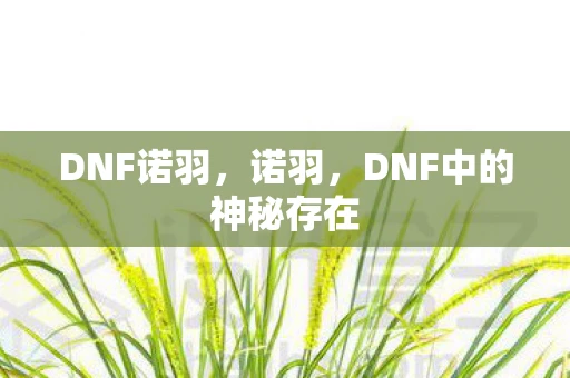 DNF诺羽，诺羽，DNF中的神秘存在