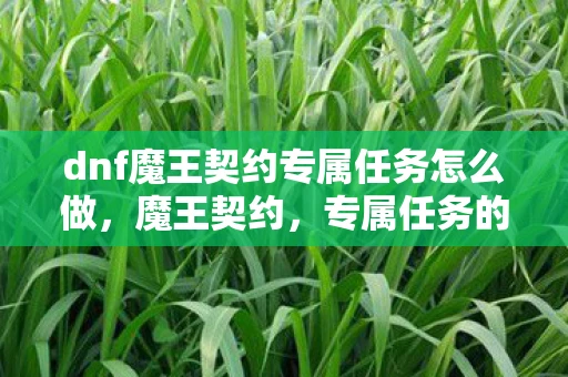 dnf魔王契约专属任务怎么做，魔王契约，专属任务的深度解析