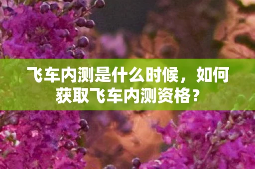 飞车内测是什么时候，如何获取飞车内测资格？