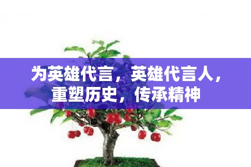 为英雄代言，英雄代言人，重塑历史，传承精神