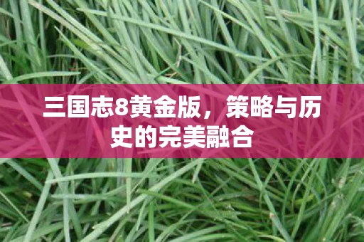 策略与历史的完美融合图片