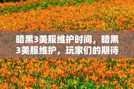 暗黑3美服维护时间,暗黑3美服维护,玩家们的期待与担忧 暗黑3美服维护时间,暗黑3美服维护,玩家们的期待与担忧