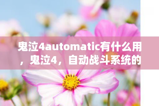 鬼泣4automatic有什么用，鬼泣4，自动战斗系统的深度解析