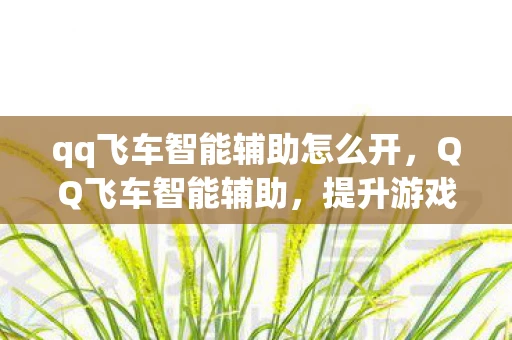 qq飞车智能辅助怎么开，QQ飞车智能辅助，提升游戏体验的科技利器