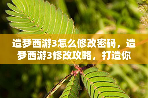 造梦西游3怎么修改密码，造梦西游3修改攻略，打造你的专属西游之旅