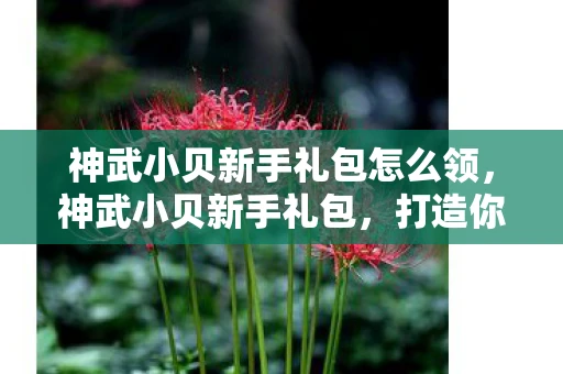 神武小贝新手礼包怎么领,神武小贝新手礼包,打造你的专属游戏之旅 神武小贝新手礼包怎么领,神武小贝新手礼包,打造你的专属游戏之旅