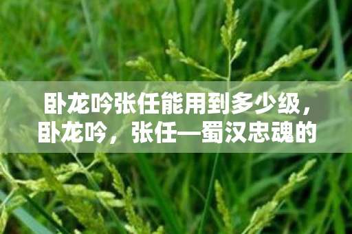 卧龙吟张任能用到多少级，卧龙吟，张任—蜀汉忠魂的悲壮史诗