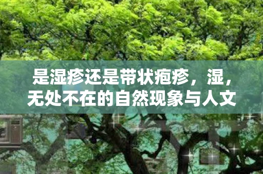 是湿疹还是带状疱疹,湿,无处不在的自然现象与人文影响 是湿疹还是带状疱疹,湿,无处不在的自然现象与人文影响