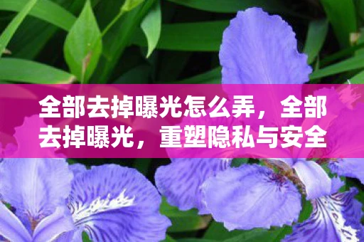 全部去掉曝光怎么弄，全部去掉曝光，重塑隐私与安全的数字时代