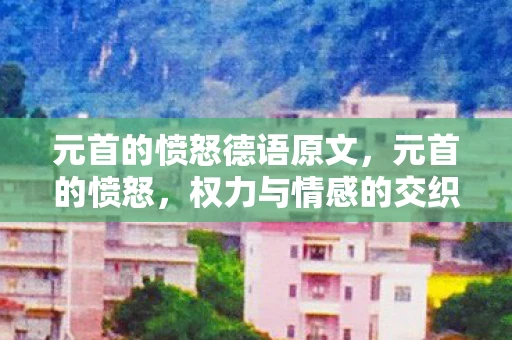 元首的愤怒德语原文，元首的愤怒，权力与情感的交织