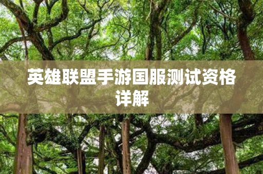 英雄联盟手游国服测试资格详解图片