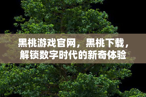 黑桃游戏官网，黑桃下载，解锁数字时代的新奇体验