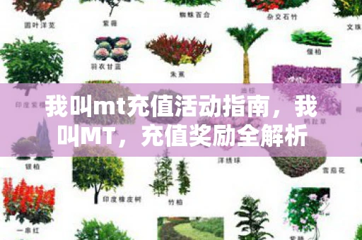 我叫mt充值活动指南，我叫MT，充值奖励全解析