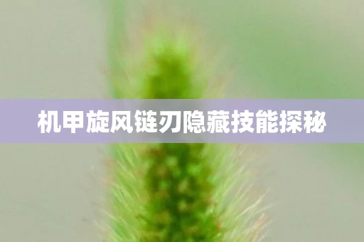 机甲旋风链刃隐藏技能探秘图片