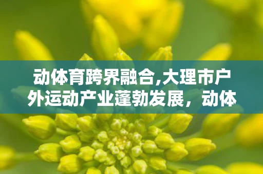 动体育跨界融合,大理市户外运动产业蓬勃发展，动体育，重塑生活，激活健康