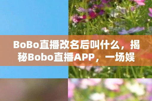 BoBo直播改名后叫什么，揭秘Bobo直播APP，一场娱乐盛宴的幕后