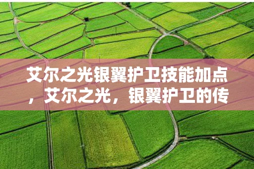 艾尔之光银翼护卫技能加点,艾尔之光,银翼护卫的传奇 艾尔之光银翼护卫技能加点,艾尔之光,银翼护卫的传奇