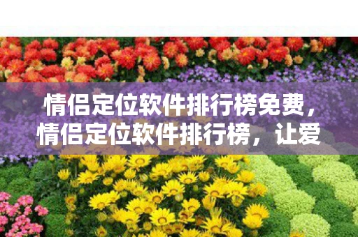 情侣定位软件排行榜免费，情侣定位软件排行榜，让爱情更加安心的科技工具