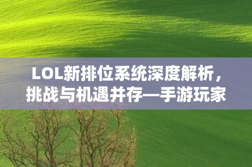LOL新排位系统深度解析图片