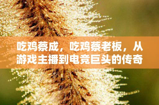 吃鸡蔡成，吃鸡蔡老板，从游戏主播到电竞巨头的传奇之路