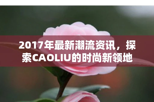 2017年最新潮流资讯,探索CAOLIU的时尚新领地 2017年最新潮流资讯,探索CAOLIU的时尚新领地