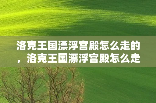 洛克王国漂浮宫殿怎么走的，洛克王国漂浮宫殿怎么走