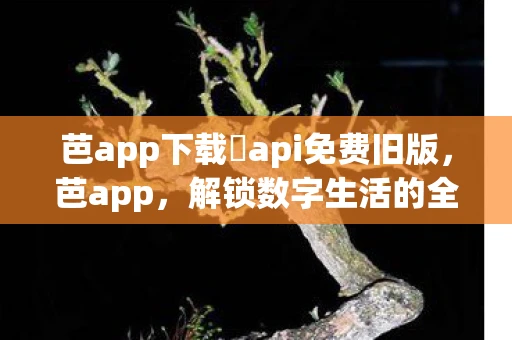 芭app下载汅api免费旧版,芭app,解锁数字生活的全新方式 芭app下载汅api免费旧版,芭app,解锁数字生活的全新方式