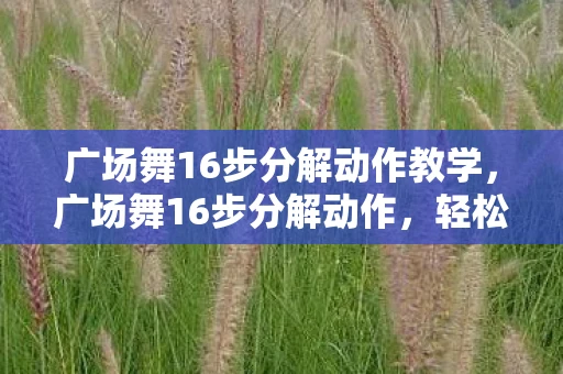 广场舞16步分解动作教学,广场舞16步分解动作,轻松掌握舞蹈精髓 广场舞16步分解动作教学,广场舞16步分解动作,轻松掌握舞蹈精髓