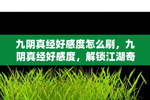 九阴真经好感度怎么刷，九阴真经好感度，解锁江湖奇遇的秘诀