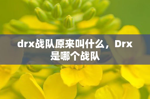 drx战队原来叫什么,Drx是哪个战队 drx战队原来叫什么,Drx是哪个战队