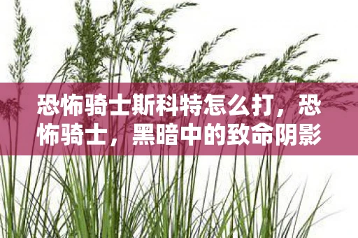 恐怖骑士斯科特怎么打,恐怖骑士,黑暗中的致命阴影 恐怖骑士斯科特怎么打,恐怖骑士,黑暗中的致命阴影