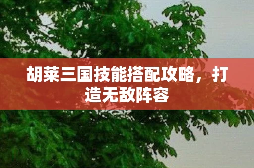 胡莱三国技能搭配攻略图片