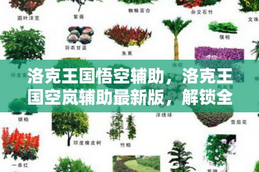 洛克王国悟空辅助，洛克王国空岚辅助最新版，解锁全新游戏体验