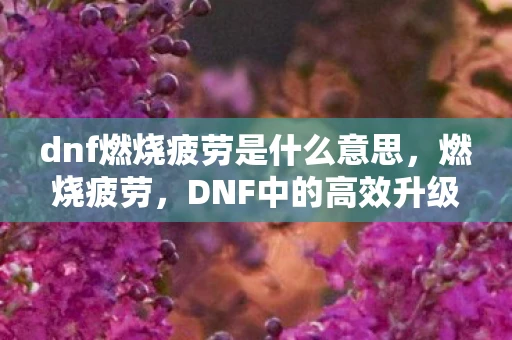 dnf燃烧疲劳是什么意思，燃烧疲劳，DNF中的高效升级与提升之道