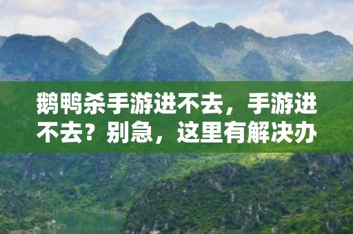 鹅鸭杀手游进不去，手游进不去？别急，这里有解决办法！
