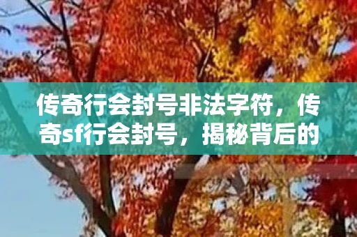 传奇行会封号非法字符,传奇sf行会封号,揭秘背后的原因与应对策略 传奇行会封号非法字符,传奇sf行会封号,揭秘背后的原因与应对策略
