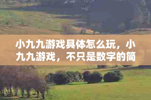 小九九游戏具体怎么玩，小九九游戏，不只是数字的简单排列
